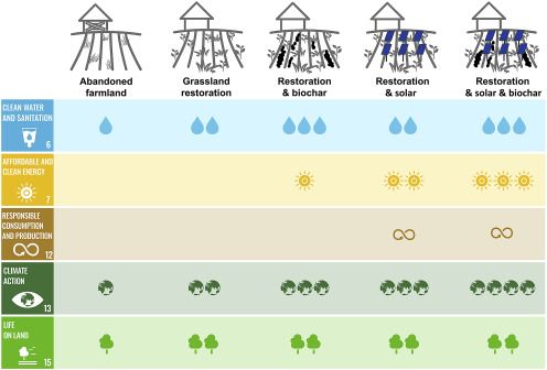 Restoring Abandoned Farmland to Mitigate Climate Change on a Full Earth